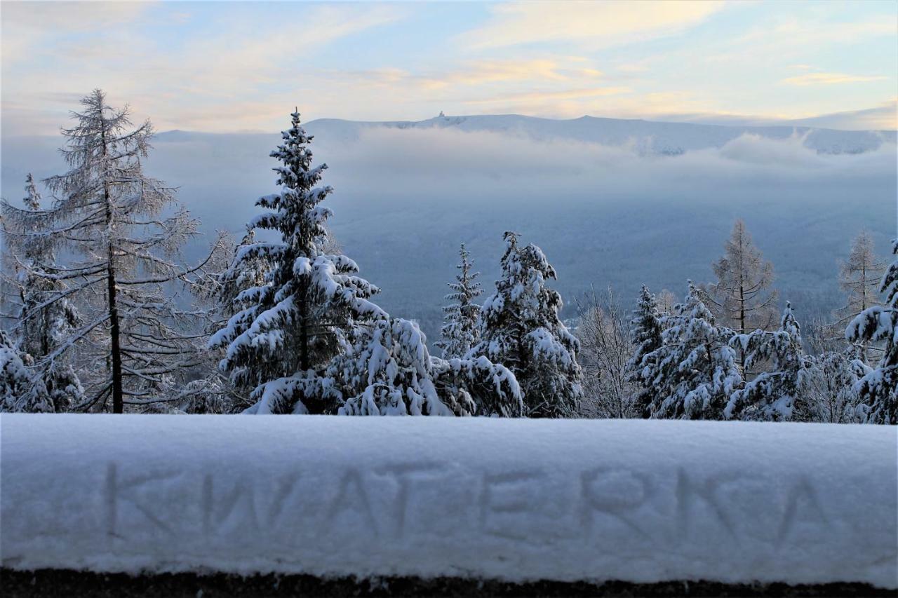 Проживання в сім'ї Kwaterka Familijna